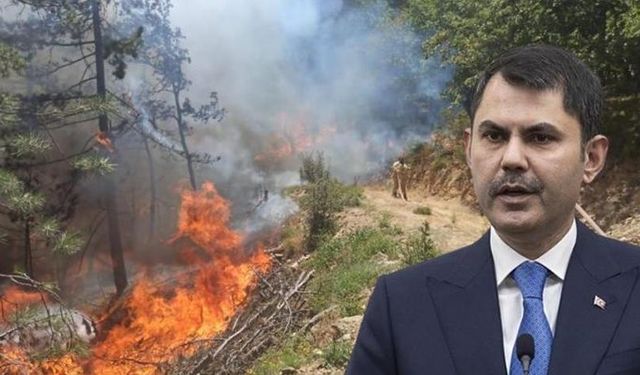 Bakan Kurum'dan orman yangını açıklaması: 415 yapı hasarlı!