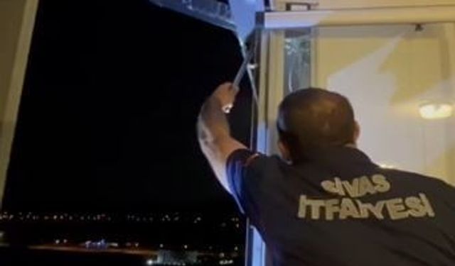 14’ncü kattan düşen atmaca yavrusu yuvasına konuldu