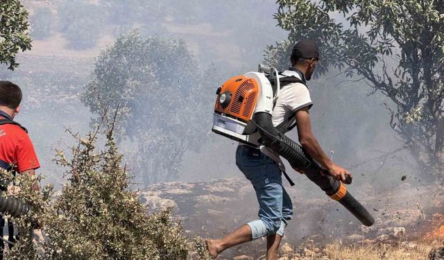 Ağaçlık alanda çıkan yangında çiftçilerin amansız mücadelesi takdir topladı