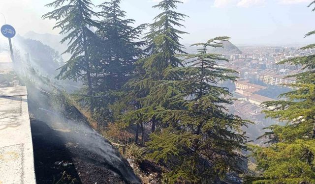 Ağaçlık alandaki yangın paniğe neden oldu