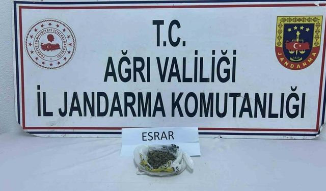 Ağrı’da uyuşturucu operasyonu: 511 kök kenevir ve 50 gram esrar ele geçirildi