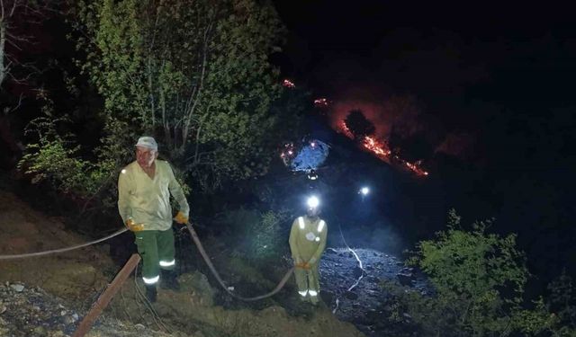 Ahır ve samanlıkta çıkan yangın ormanlık alana sıçradı, müdahale sürüyor