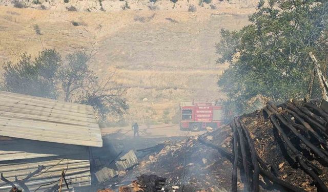 Akçadağ’da odunluk yangını korkuttu