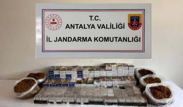 Alanya’da kaçak tütün operasyonunda 40 bin makaron ele geçirildi