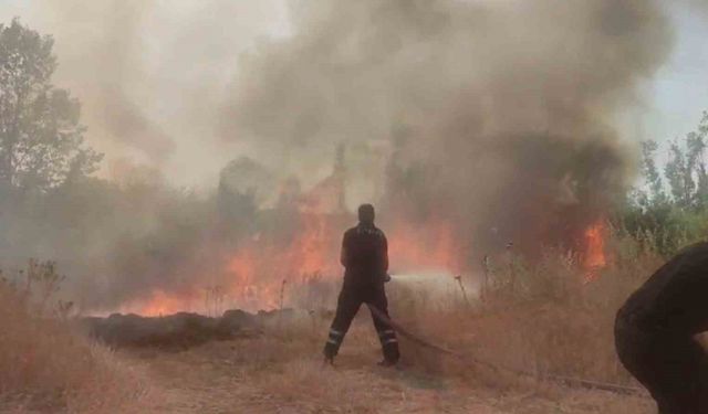 Anız yangını ağaçlık alana sıçradı