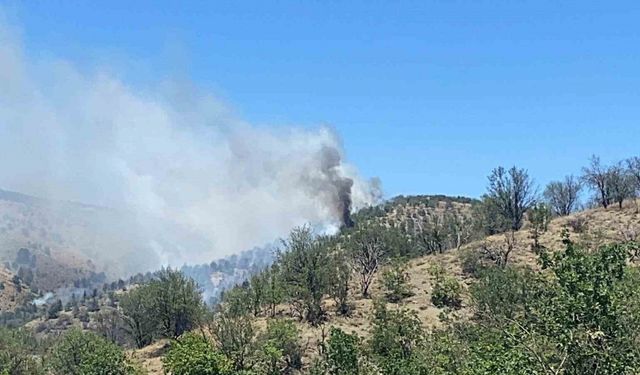 Ankara’da ormanlık alanda yangın çıktı