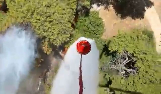 Antalya Muratpaşa’da orman yangını