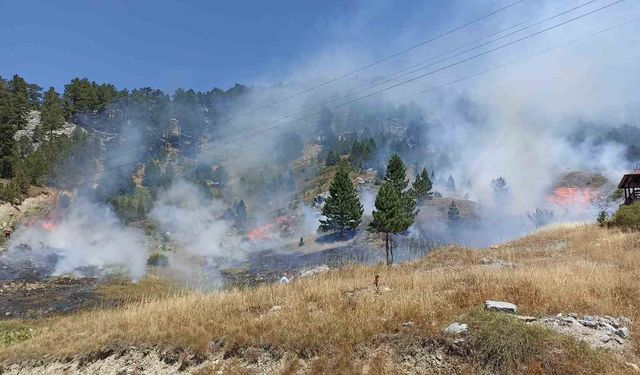 Antalya’da orman yangını