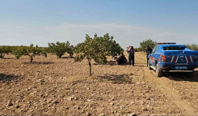 Antep fıstığı hasadı yaparken fenalaşan işçi hayatını kaybetti