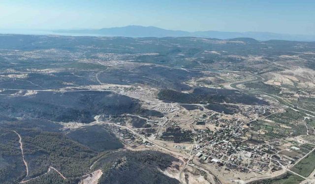 Ayvacık’ta yangın 21 saatin ardından kontrol altına alındı