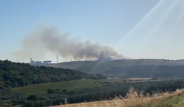 Balıkesir’de çıkan yangına havadan ve karadan müdahale ediliyor