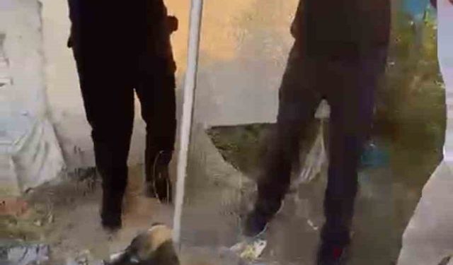Batman’da kuyuya düşen yavru köpeği itfaiye kurtardı