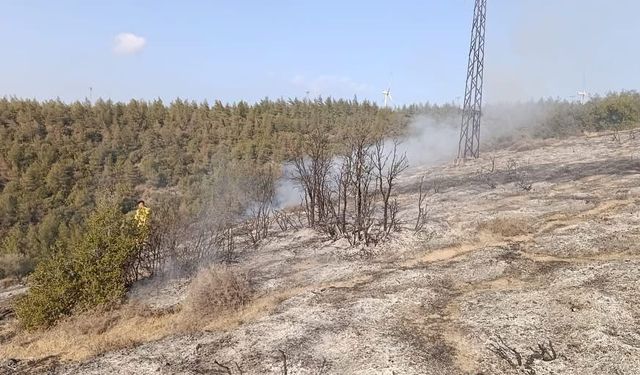 Belen’de ormanlık alanda yangın çıktı