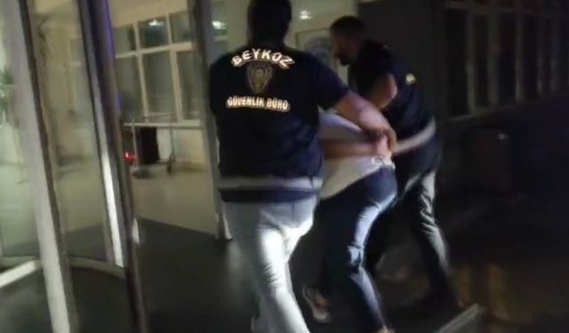 Beykoz’daki yangını çıkardığı iddia edilen kişi yakalandı: "Eğlenmek için fişek attım" dedi