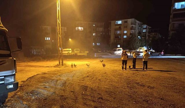 Beypazarı’nda kümes yangını: 41 tavuk telef oldu