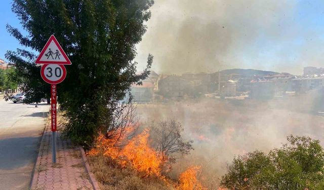 Beyşehir’de alevler bahçelere ulaşmadan söndürüldü