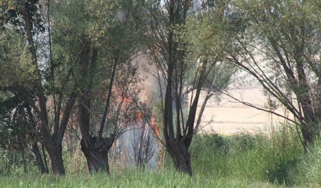 Beyşehir’de biçerdöverde yangın paniği