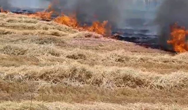 Beyşehir’de korkutan anız yangını, evlere sıçramadan söndürüldü