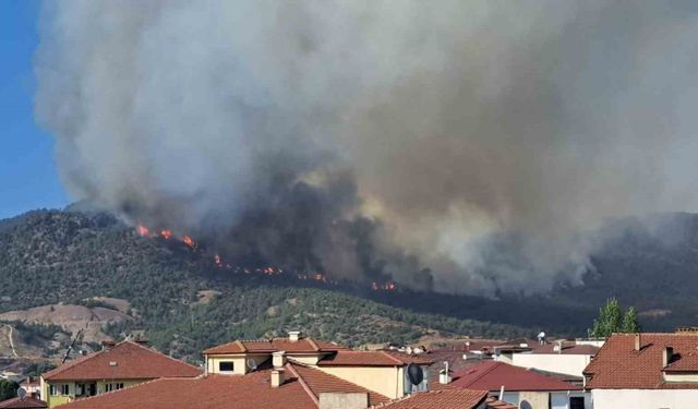 Bilecik’te kısmen kontrol altına alınan yangın yeniden alevlendi