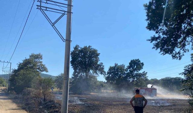 Bilecik’te ormanlık alana sıçrayan yangına müdahale ediliyor