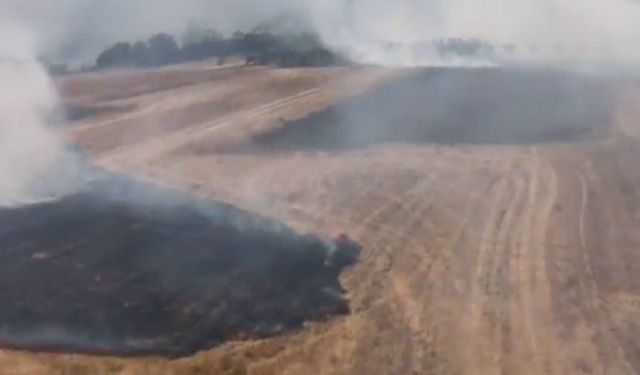 Bilecik’te tarım arazisinde çıkan yangın söndürüldü