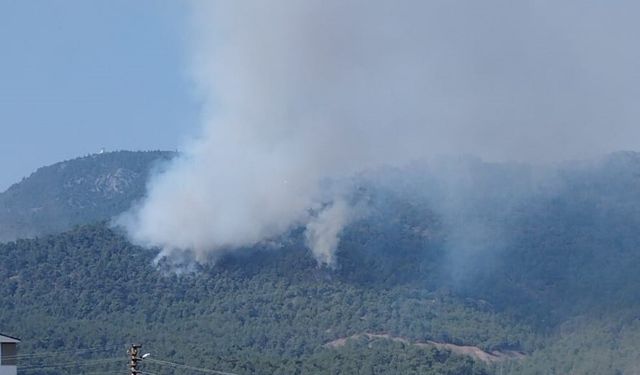 Bilecik’teki orman yangınında alevler Borcak köyüne doğru ilerliyor