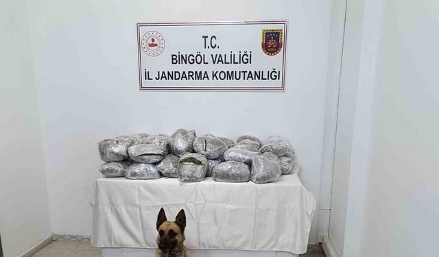 Bingöl’de 49 kilo esrar ele geçirildi