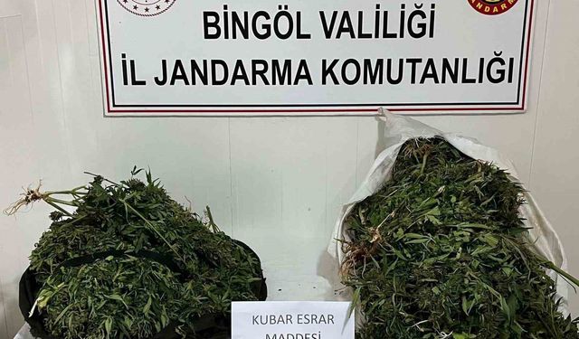 Bingöl’de bagajda ele geçirilen yaklaşık 18 kilogram uyuşturucuya 4 tutuklama