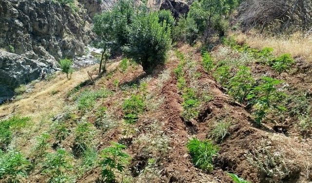 Bingöl’de uyuşturucu operasyonu