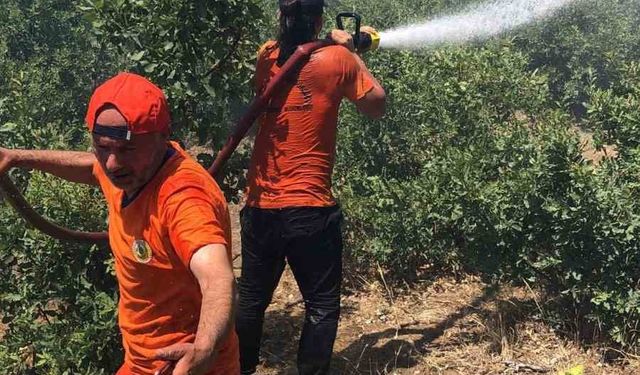Bingöl’deki orman yangını kontrol altına alındı