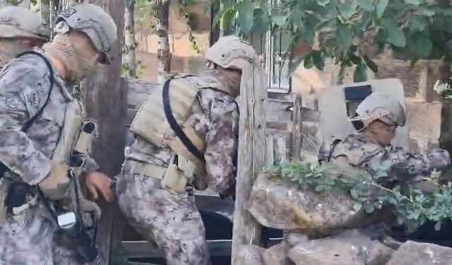 Bitlis merkezli suç örgütü operasyonunda 22 kişi gözaltına alındı