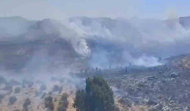 Bodrum’da otluk alanda çıkan yangın kısa sürede kontrol altına alındı