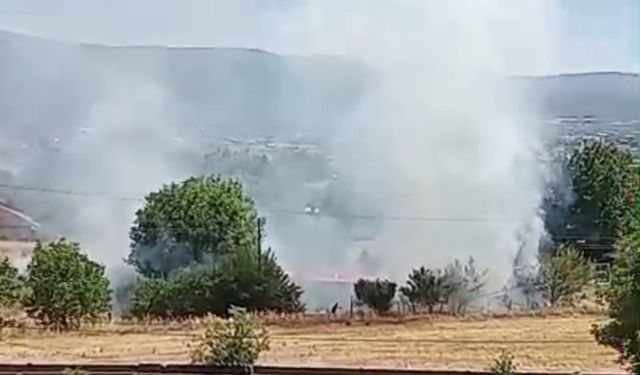 Bolu’da anız yangını korkuttu