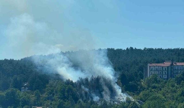 Bolu’da çıkan orman yangını büyümeden söndürüldü