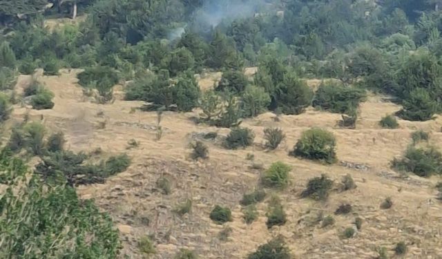 Bolu’da yıldırım kaynaklı çıkan yangınlar söndürüldü