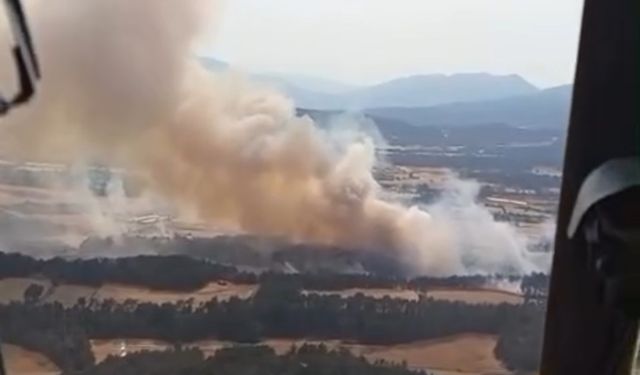 Bolu’daki orman yangını kontrol altına alındı: Soğutma çalışmaları sürüyor