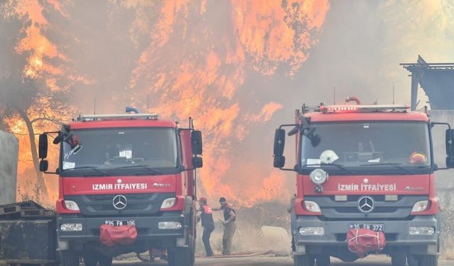 Bornova’da orman yangınını söndürme çalışmaları devam ediyor