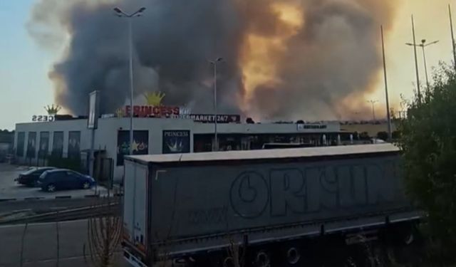 Bulgaristan’daki orman yangını Edirne sınırına dayandı