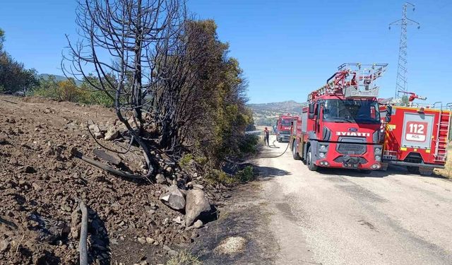 Burdur’da ceviz bahçesi ve 5 dönüm tarım arazisi yandı
