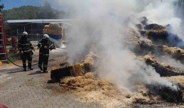 Burdur’da çıkan yangında 250 saman balyası kül oldu