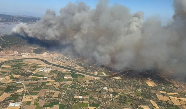Çanakkale Valisi Toraman, Ayvacık’taki orman yangınını havadan kontrol etti