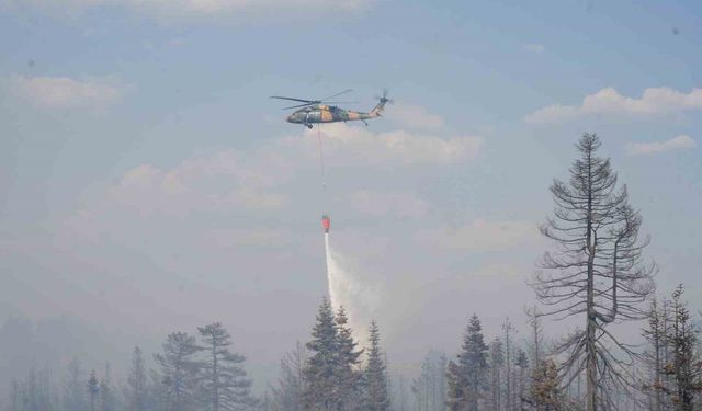 Çankırı Valiliği: "Orman yangınına 216 personel ve 7 helikopterle müdahale ediliyor"