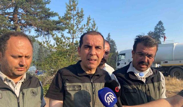 Çankırı Valisi Taşolar: "Yangının ilerleyişi durduruldu"