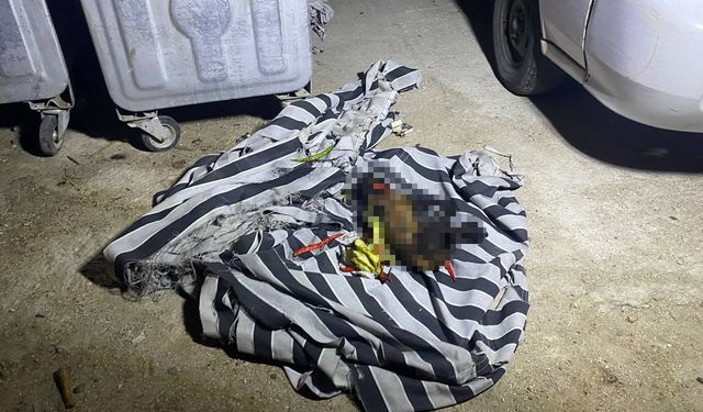 Çöp konteynerindeki yangın sonrası köpeğin telef olduğu ortaya çıktı