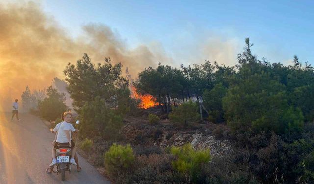 Cunda Adası’ndaki orman yangını büyümeden söndürüldü