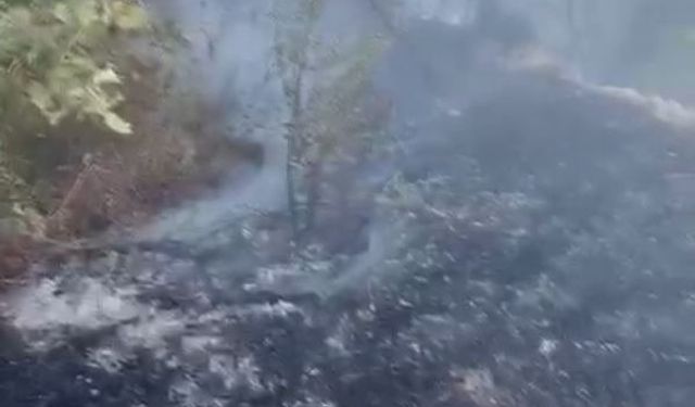 Datça’da kuru ot yangını korkuttu