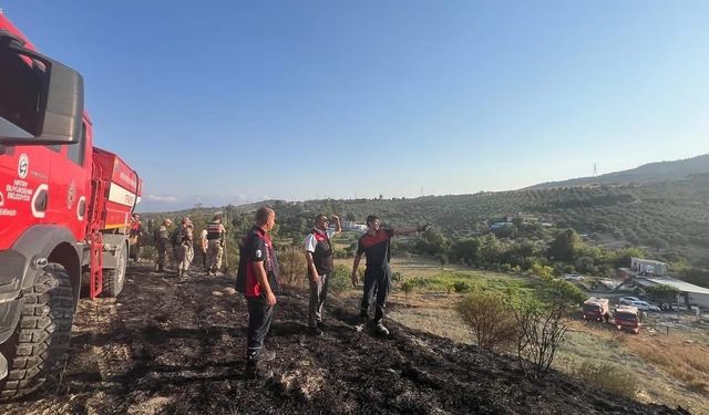 Defne’de makilik alanda yangın çıktı