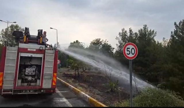 Dicle Üniversitesi’ndeki örtü yangını söndürüldü