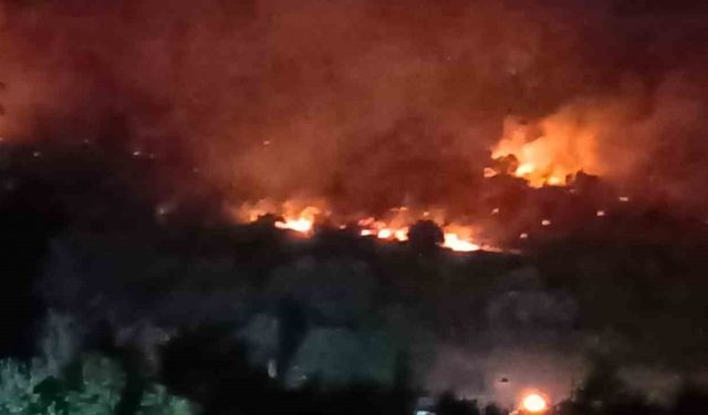 Dikili’de orman yangını: Çanakkale yolu ulaşıma kapatıldı