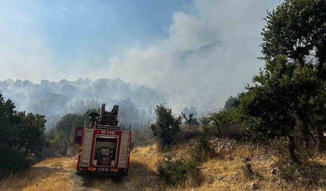 Diyarbakır’da çıkan orman yangınına 9 saattir müdahale devam ediyor